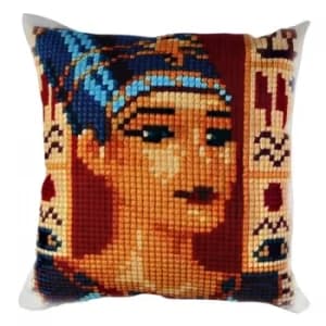 A10812 Multicolor Cushion