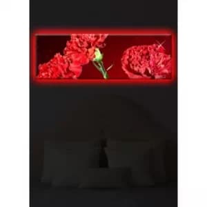 3090DACT-25 Multicolor Decorative LED Lighted Canvas Painting