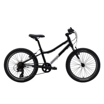 Pinnacle Ash 20" Kids Bike - Black