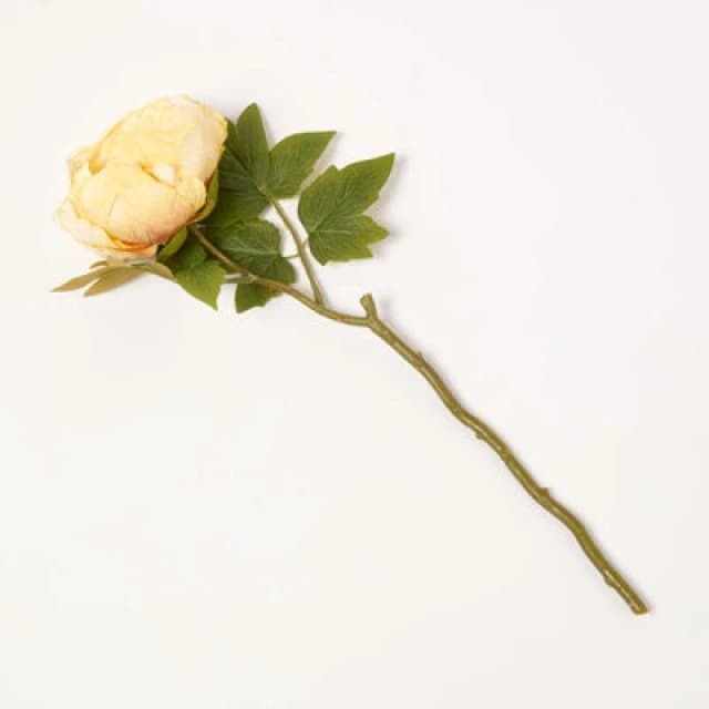 Homescapes Artificial Stem of Dried Peony Flowers Yellow