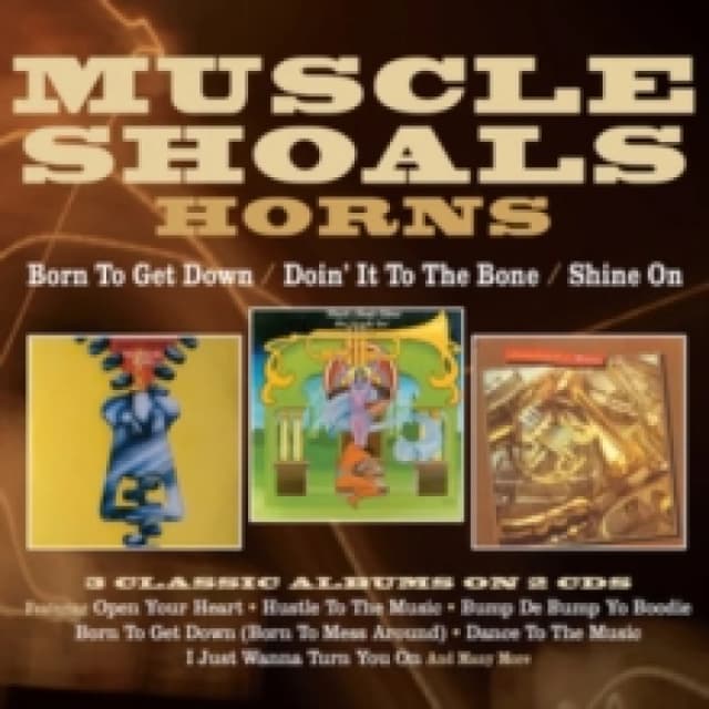 Born to Get Down/Doin' It to the Bone/Shine On CD / Album