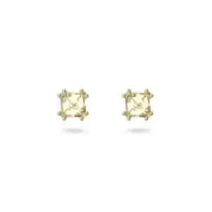 Stilla Stud Yellow Gold-tone Plated Earrings 5639124