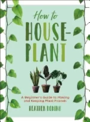 how to houseplant a beginners guide to making and keeping plant friends