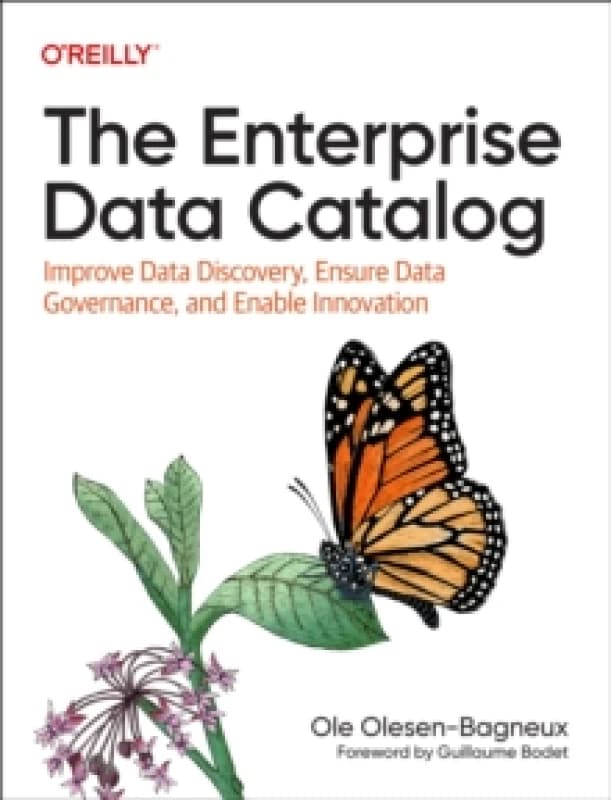The Enterprise Data Catalog : Improve Data Discovery, Ensure Data Governance, and Enable Innovation Paperback / softback