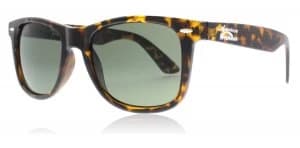 American Freshman Blake Sunglasses Tortoise TORT 55mm