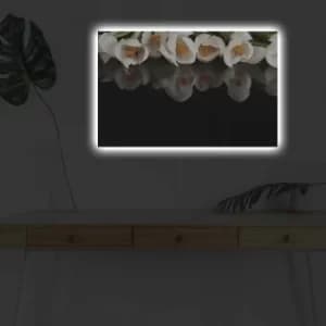 4570DHDACT-079 Multicolor Decorative LED Lighted Canvas Painting