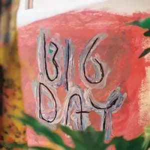 Big Day by Loose Tooth Vinyl Album