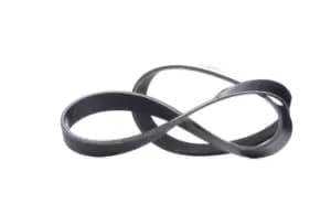 RIDEX V-ribbed belt BMW,OPEL,RENAULT 305P0419 11287560485,11287631812,4416361 4418674,4434596,4435288,93186955,93195484,93198382,93198514,8200465689