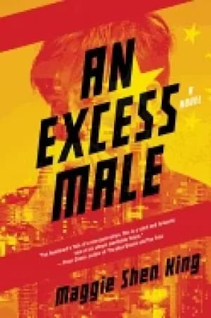 excess male an a novel