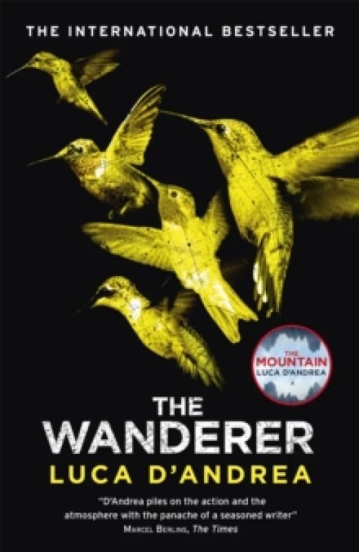 The Wanderer : The Sunday Times Thriller of the Month Paperback / softback
