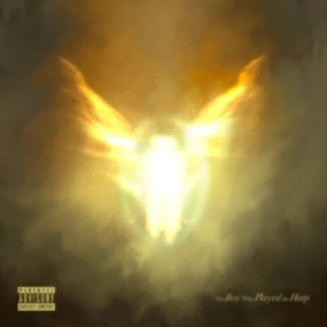 The Boy Who Played the Harp Vinyl