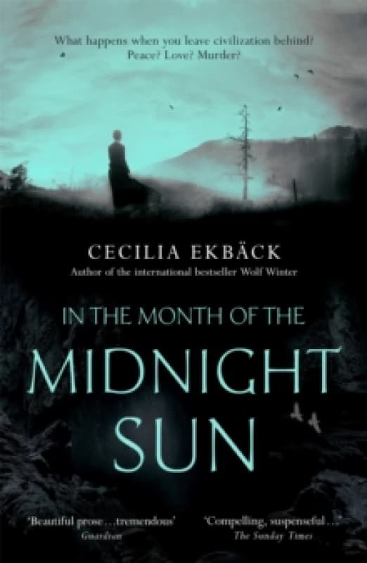 In the Month of the Midnight Sun Paperback / softback