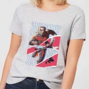 Marvel Avengers AntMan And Wasp Collage Womens T-Shirt - Grey - 3XL