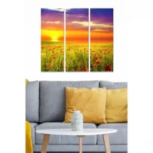 MDF108571562 Multicolor Decorative MDF Painting (3 Pieces)
