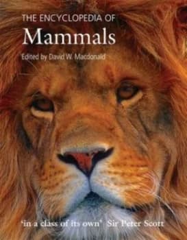 The Encyclopedia of Mammals by David Macdonald Paperback