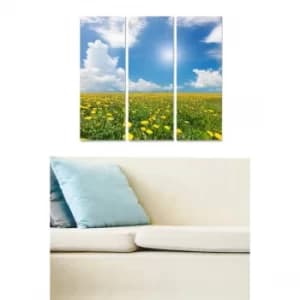 MDF80824048 Multicolor Decorative MDF Painting (3 Pieces)