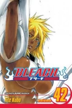 Bleach Volume 42 by Tite Kubo