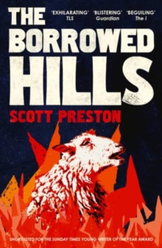 The Borrowed Hills : 'A sucker-punch of a novel' Guardian Paperback / softback