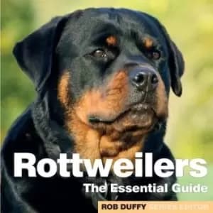Rottweilers by
