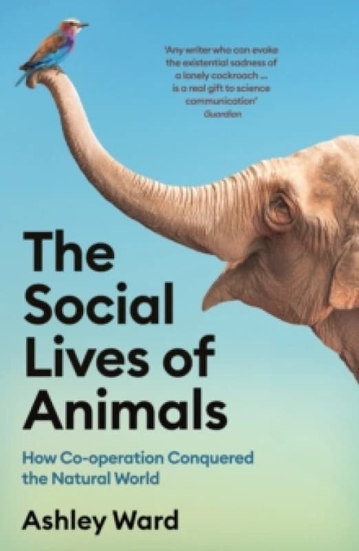 The Social Lives of Animals : How Co-operation Conquered the Natural World Paperback / softback