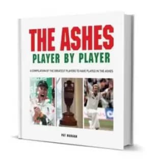 The Ashes by Pat Morgan