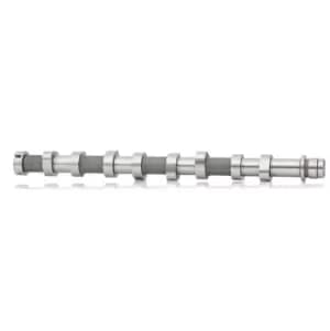 RIDEX Camshaft 566C0050 Cam Kit,Camshaft Kit FORD,PEUGEOT,CITROEN,Fiesta Mk6 Schragheck (JA8, JR8),Fiesta Mk5 Schragheck (JH1, JD1, JH3, JD3)