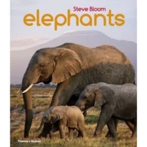 Elephants : A Book for Children