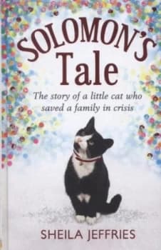 Solomons Tale by Sheila Jeffries Hardback