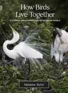 how birds live together colonies and communities in the avian world