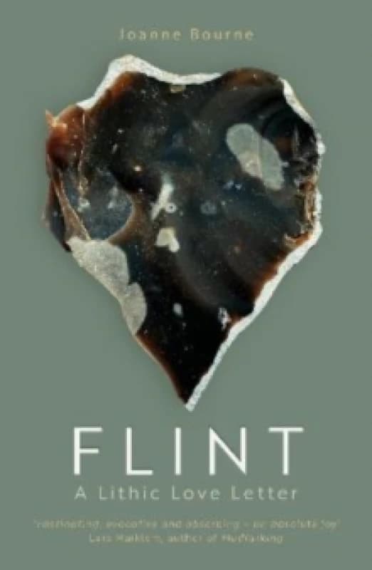 Flint : A Lithic Love Letter Paperback / softback