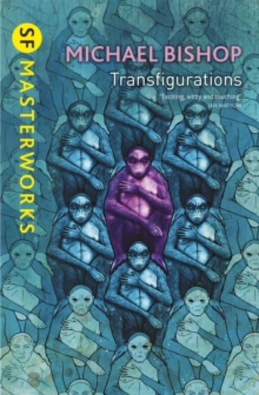 Transfigurations Paperback / softback