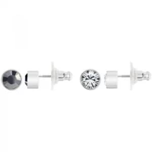 Ladies Swarovski Stainless Steel Harley Earrings