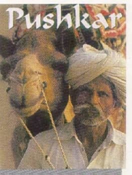 Pushkar Paperback