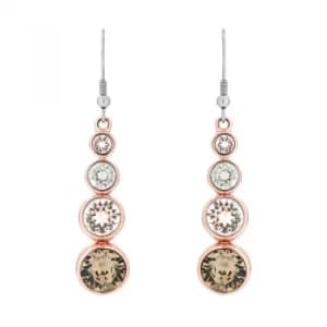 Ladies Karen Millen PVD rose plating Crystal Drop Earrings