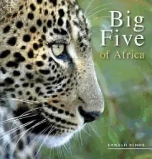 big five of africa