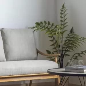 Crossland Grove Butterfly Fern H1200Mm