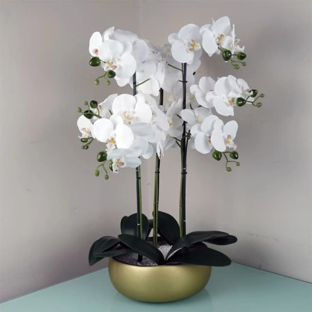 Leaf 60cm Orchid White - Gold Ceramic Planter Green