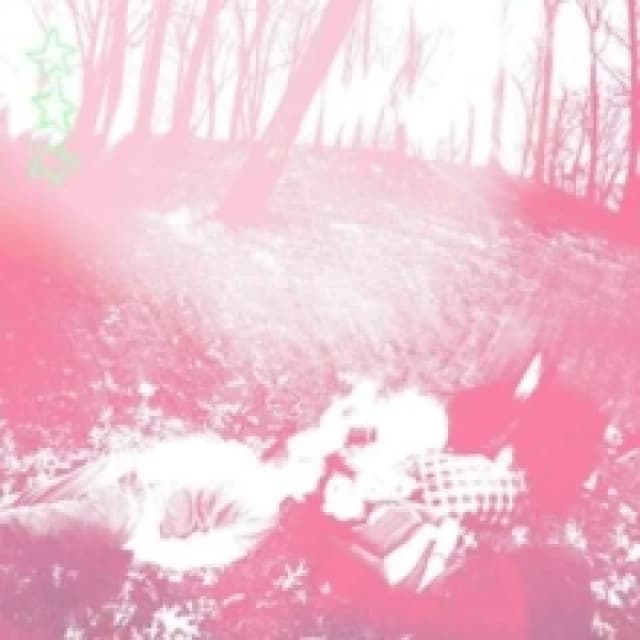 Words from a Wishing Well Vinyl