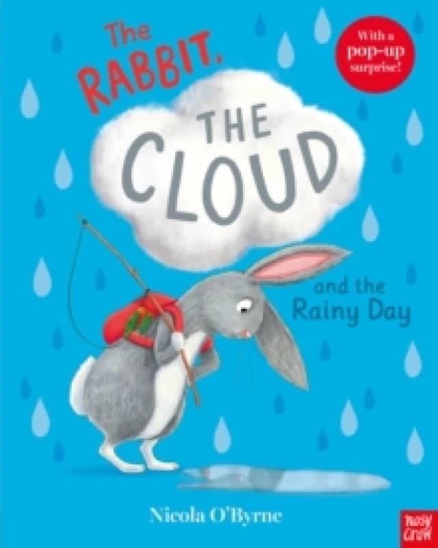 The Rabbit, the Cloud and the Rainy Day Paperback / softback
