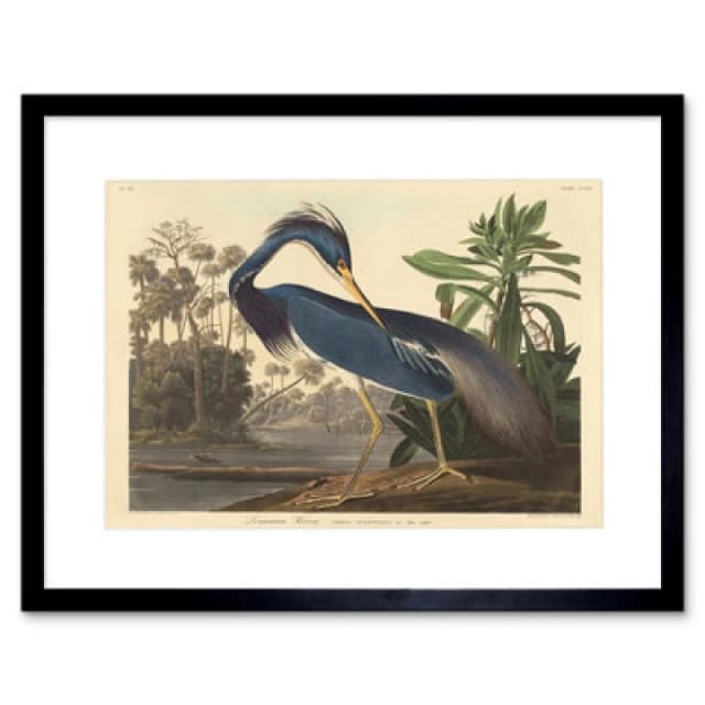 Artery8 Painting Bird Audubon Louisiana Heron 12X16" Framed Wall Art Print