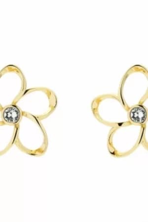 Ted Baker Ladies Gold Plated Crystal Blossom Earrings TBJ1425-02-02