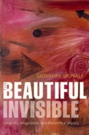 The beautiful invisible by Giovanni Vignale
