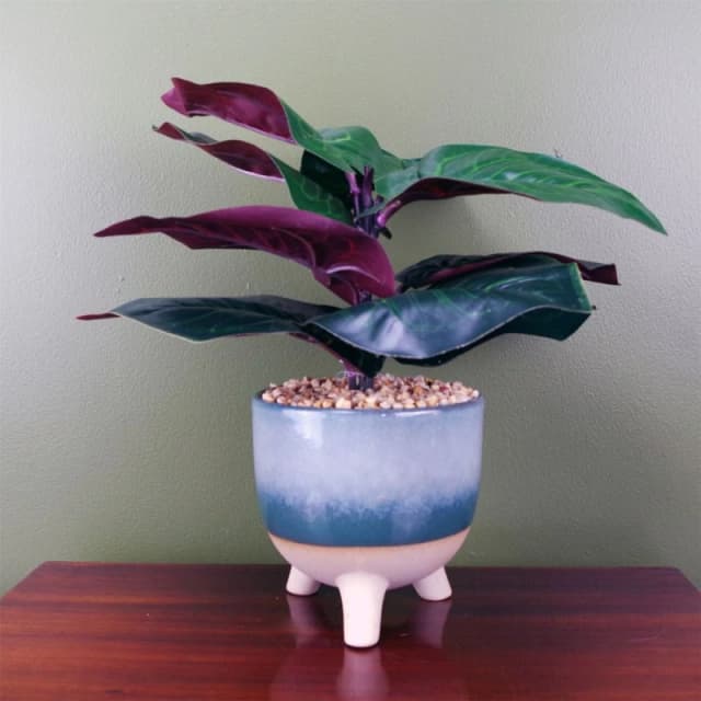 Leaf 35cm Artificial Ficus Plant Potted in Teal Blue Green Ceramic Planter Blue