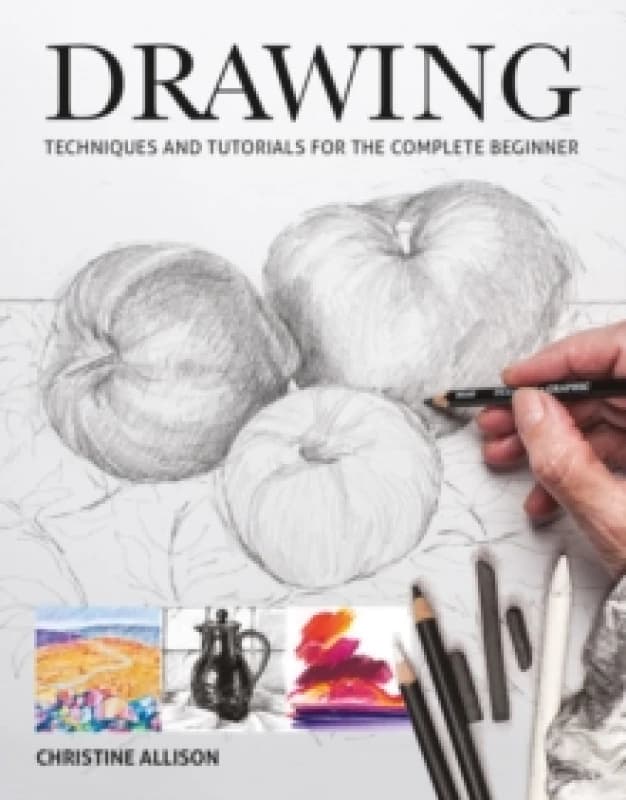 Drawings : Techniques and Tutorials for the Complete Beginner Paperback / softback