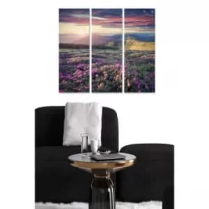 MDF7410620 Multicolor Decorative MDF Painting (3 Pieces)