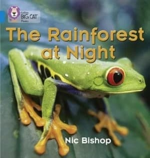 The Rainforest at Night by Nic Bishop Paperback