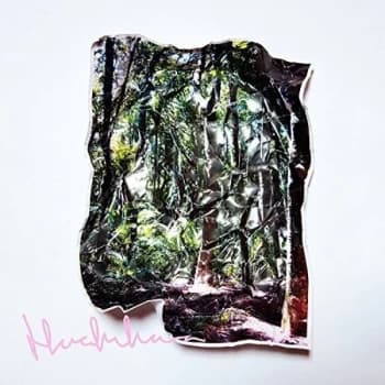 Korallreven - Here In Iowa Vinyl