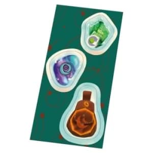 Chronicles of Avel Mini-Expansion