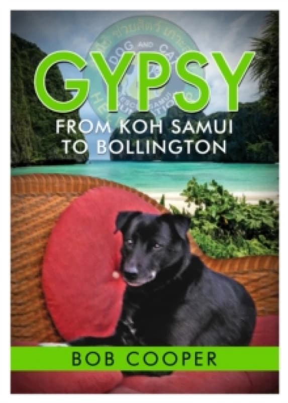 Gypsy - From Koh Samui to Bollington Paperback / softback