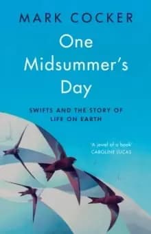 One Midsummer's Day : Swifts and the Story of Life on Earth